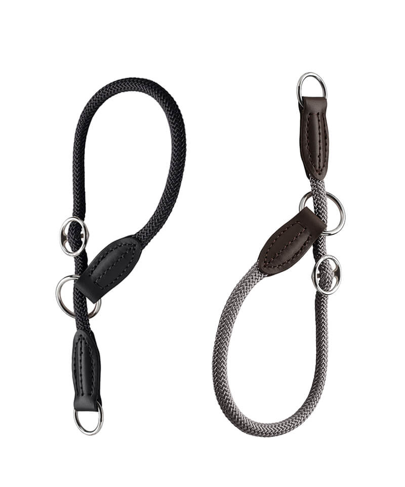 What Is Dog Training Collar