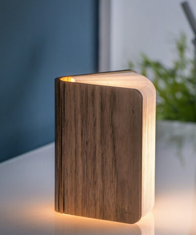 LED Smart Book light