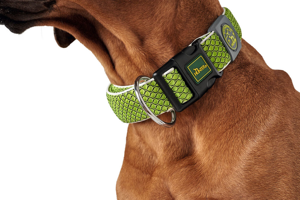 Vario Basic HiLo Dog Collar Hunter Dog Collars Gifts For Dogs