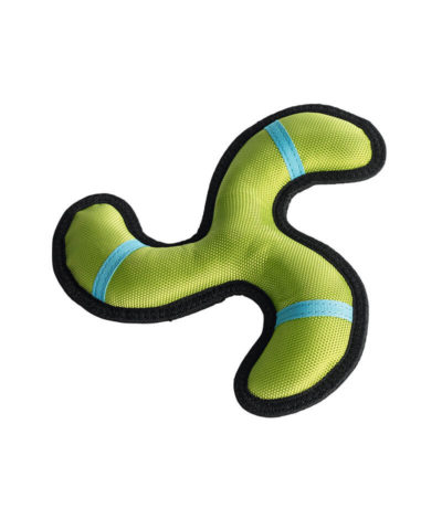 Outdoor Training Dog Toy