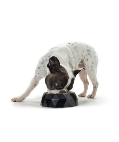 Kimberley Dog Bowl