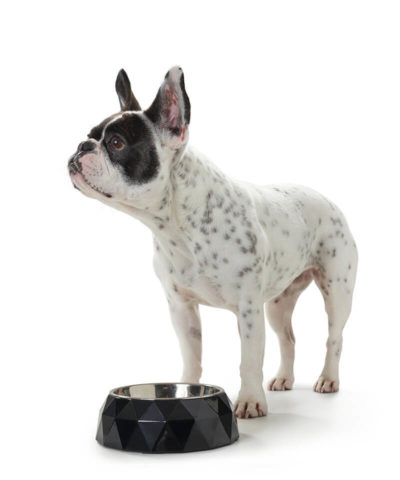 Kimberley Dog Bowl