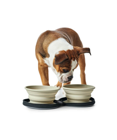 Silicone Travel Dog Bowl with Bag